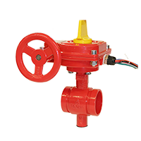 Check Valve Image