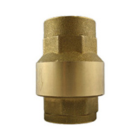 Check Valve Image