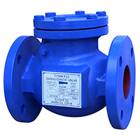 Check Valve Image