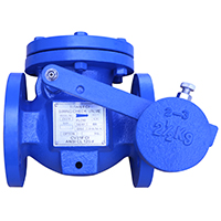 Check Valve Image