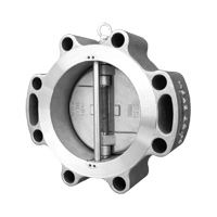 Check Valve Image