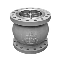 Check Valve Image