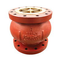 Check Valve Image