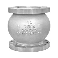 Check Valve Image