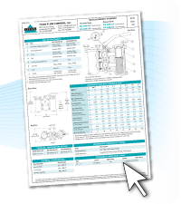 Datasheet for a duplex strainer