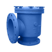 Suction Diffuser, Cast Iron, ANSI Class 125, Flanged Ends