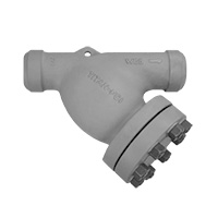 Y Strainer Image